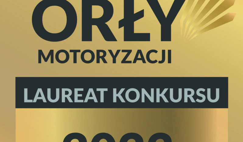 Led Pół skóra Dach Panoramiczny Klimatronik Gwarancja Opłacony full