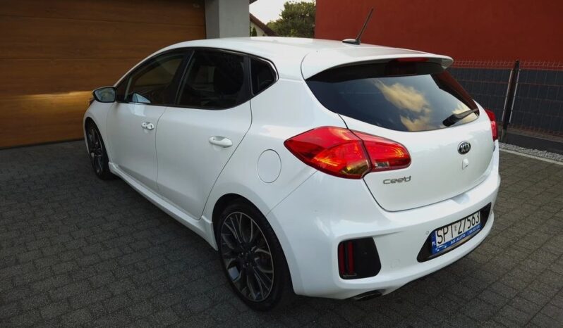 Xenon Nawi Kamera Alcantara Podgrz. Fotele/Kierownica Lakier Perła full