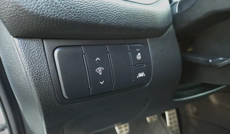 Xenon Nawi Kamera Alcantara Podgrz. Fotele/Kierownica Lakier Perła full