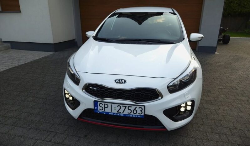 Xenon Nawi Kamera Alcantara Podgrz. Fotele/Kierownica Lakier Perła full