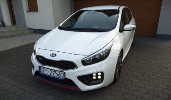 Xenon Nawi Kamera Alcantara Podgrz. Fotele/Kierownica Lakier Perła full