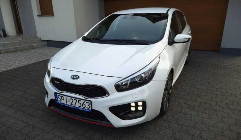 Xenon Nawi Kamera Alcantara Podgrz. Fotele/Kierownica Lakier Perła full