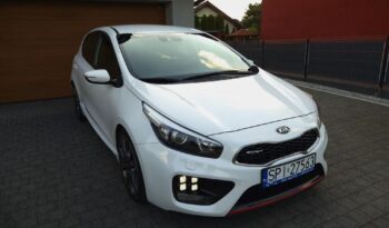 Xenon Nawi Kamera Alcantara Podgrz. Fotele/Kierownica Lakier Perła full