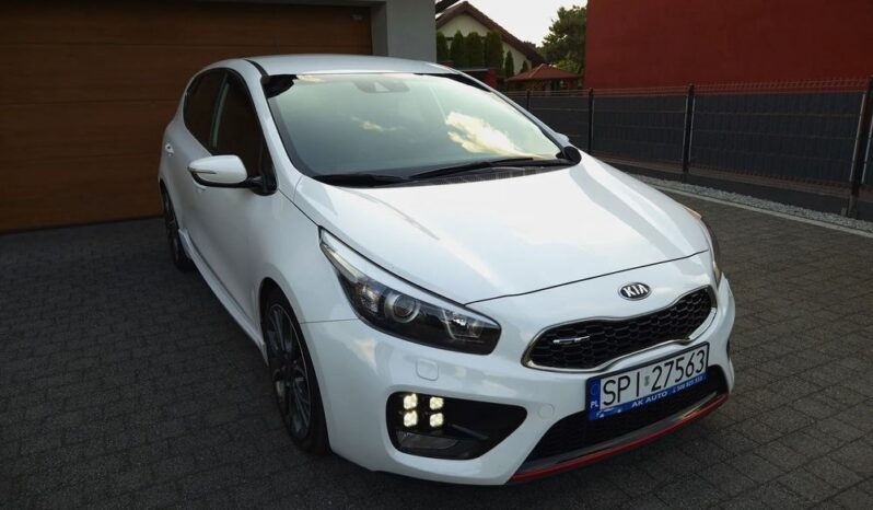 Xenon Nawi Kamera Alcantara Podgrz. Fotele/Kierownica Lakier Perła full