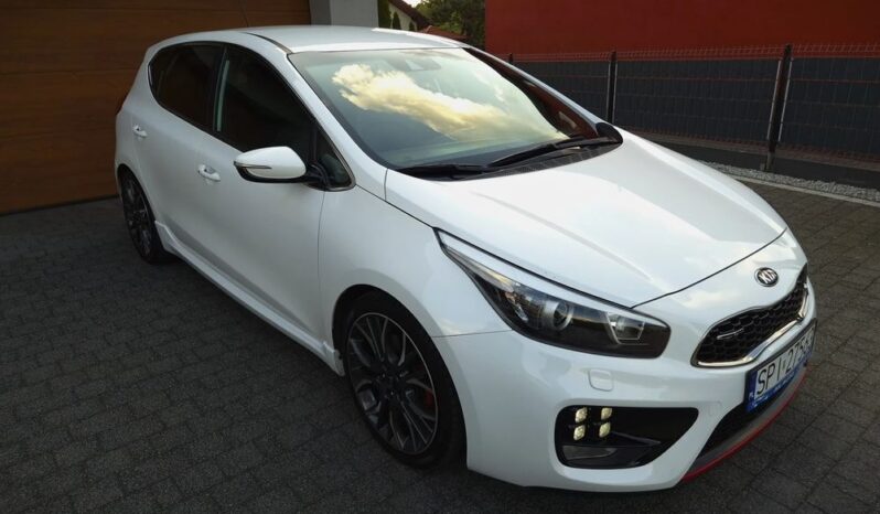 Xenon Nawi Kamera Alcantara Podgrz. Fotele/Kierownica Lakier Perła full