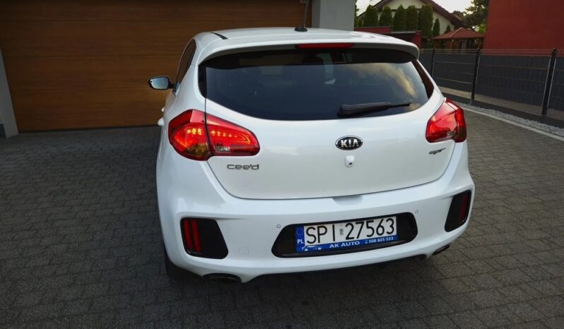 Xenon Nawi Kamera Alcantara Podgrz. Fotele/Kierownica Lakier Perła full