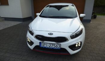 Xenon Nawi Kamera Alcantara Podgrz. Fotele/Kierownica Lakier Perła full