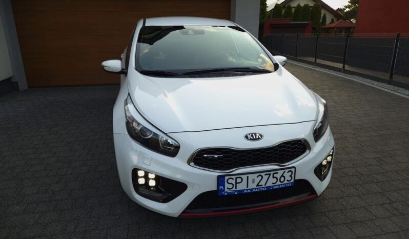 Xenon Nawi Kamera Alcantara Podgrz. Fotele/Kierownica Lakier Perła full