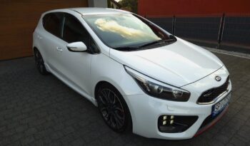 Xenon Nawi Kamera Alcantara Podgrz. Fotele/Kierownica Lakier Perła full