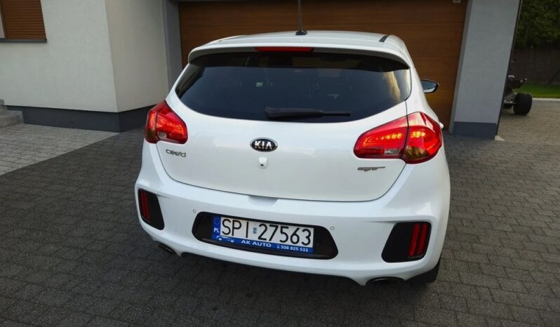 Xenon Nawi Kamera Alcantara Podgrz. Fotele/Kierownica Lakier Perła full