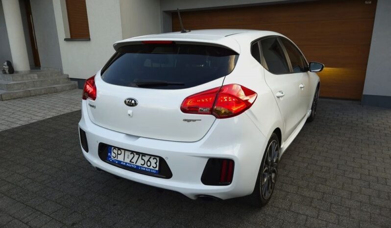 Xenon Nawi Kamera Alcantara Podgrz. Fotele/Kierownica Lakier Perła full