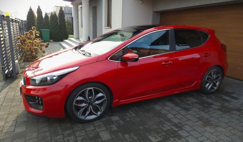Kia Ceed Lift Serwis Xenon Nawi Kamera Panorama Alcantara 2 kpl. Alu Gwar full