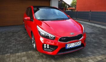 Kia Ceed Lift Serwis Xenon Nawi Kamera Panorama Alcantara 2 kpl. Alu Gwar full