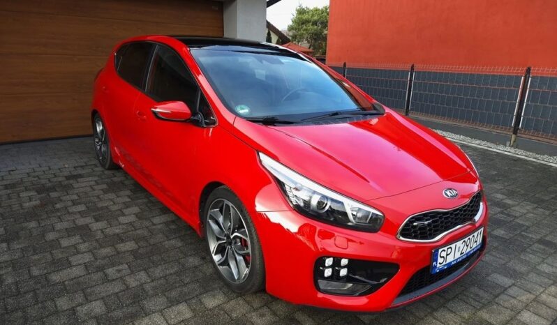 Kia Ceed Lift Serwis Xenon Nawi Kamera Panorama Alcantara 2 kpl. Alu Gwar full