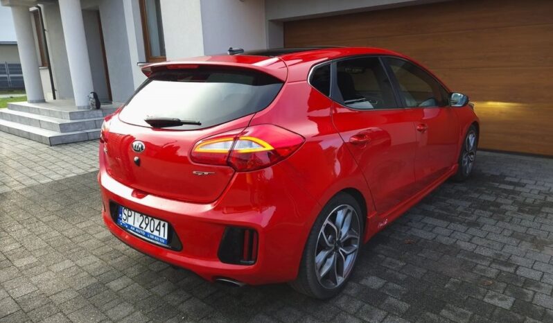 Kia Ceed Lift Serwis Xenon Nawi Kamera Panorama Alcantara 2 kpl. Alu Gwar full