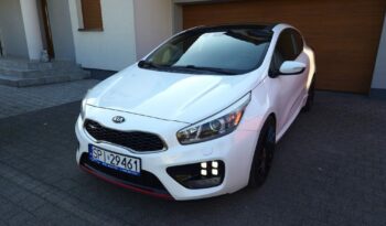 Kia ProCeed Super Stan Panorama Xenon Kamera lak. Perła Grz. Fotele/Kierownica full